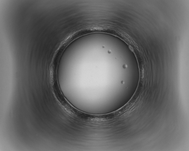X0000116600444200912181149
