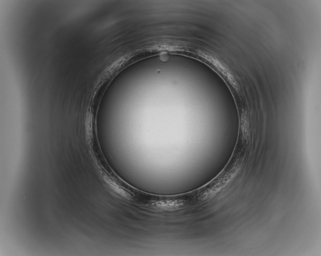 X0000116600445200912181149