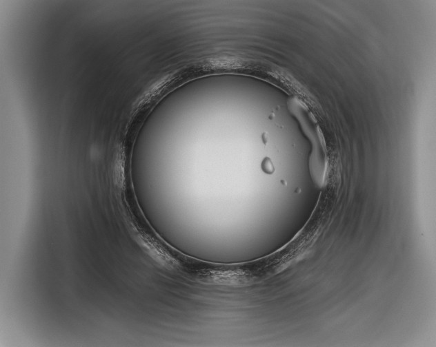 X0000116600446200912181149