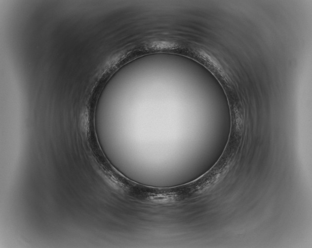 X0000116600447200912181149