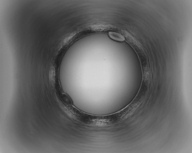 X0000116600448200912181149