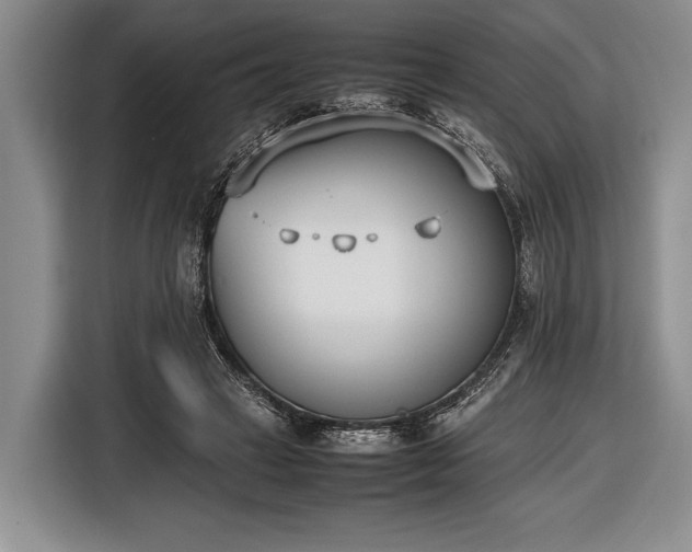 X0000116600449200912181149