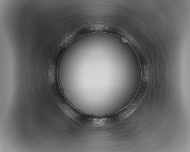 X0000116600450200912181149