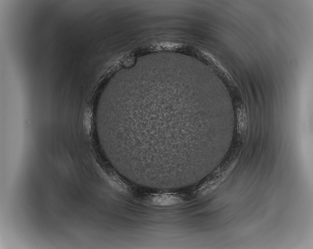 X0000116600451200912181149