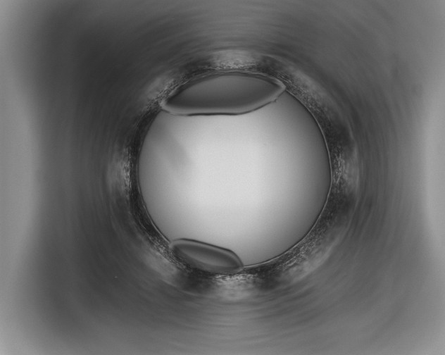 X0000116600452200912181149
