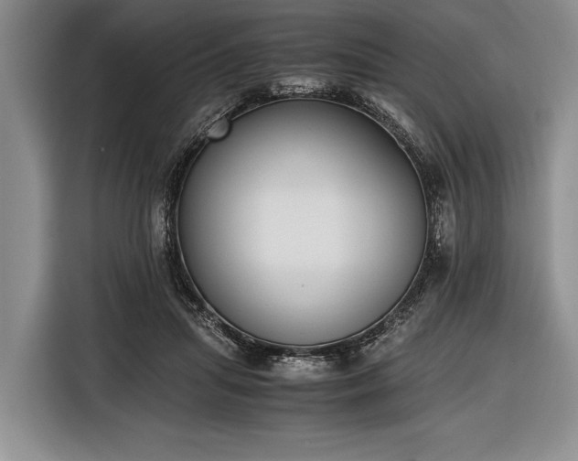 X0000116600455200912181149