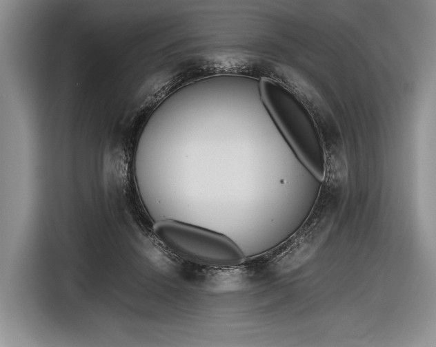 X0000116600456200912181149