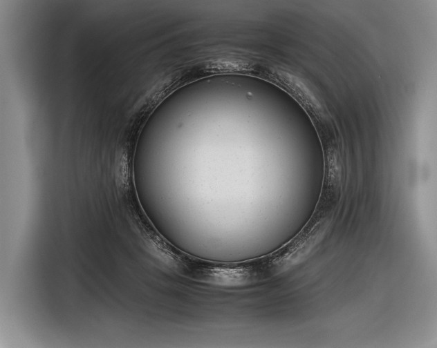 X0000116600457200912181149