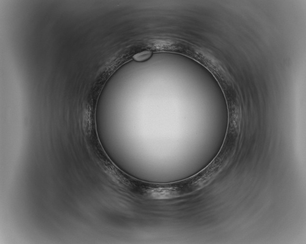 X0000116600461200912181149