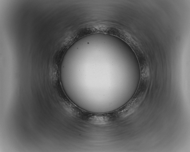 X0000116600464200912181149