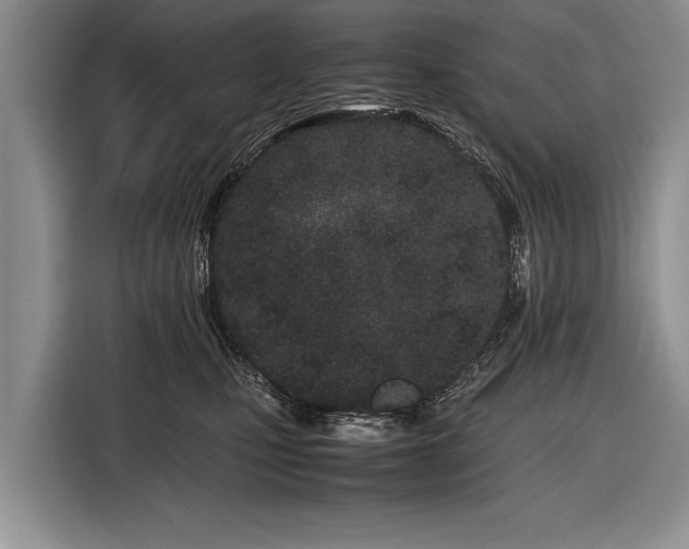 X0000116600471200912181149