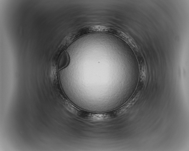 X0000116600473200912181150