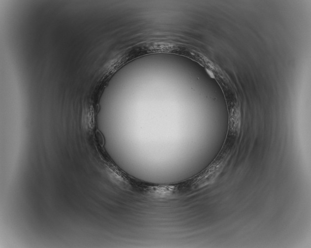 X0000116600474200912181150