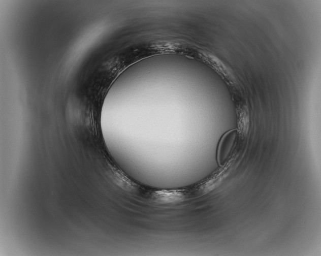 X0000116600477200912181150