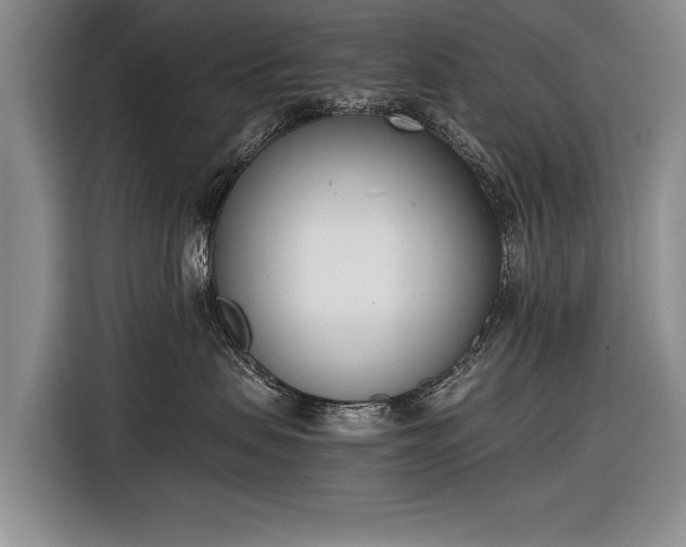 X0000116600479200912181150