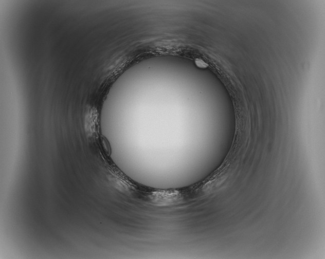 X0000116600480200912181150