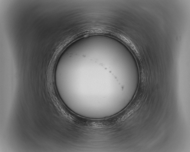 X0000116600481200912181149