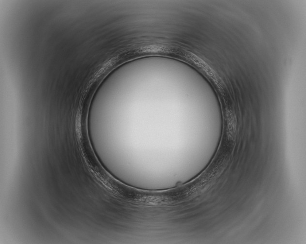 X0000116600482200912181149