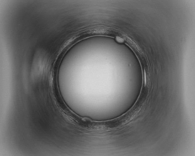 X0000116600483200912181149