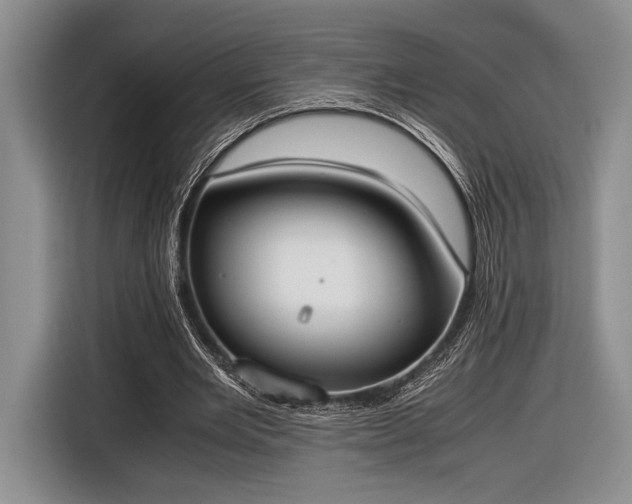 X0000116600485200912181149