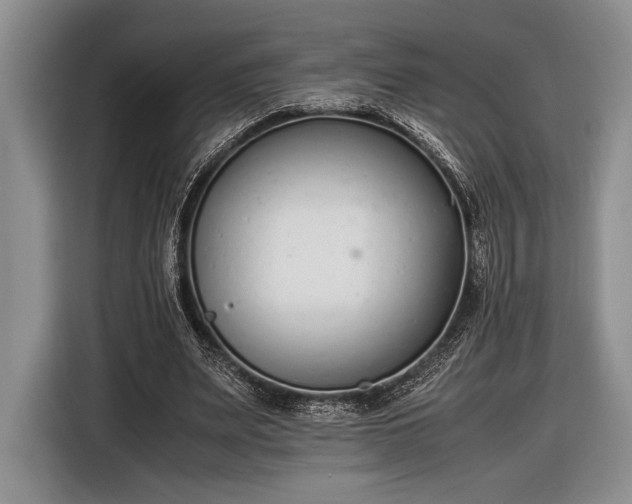 X0000116600487200912181149
