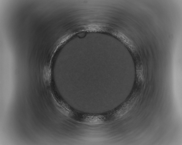 X0000116600488200912181149