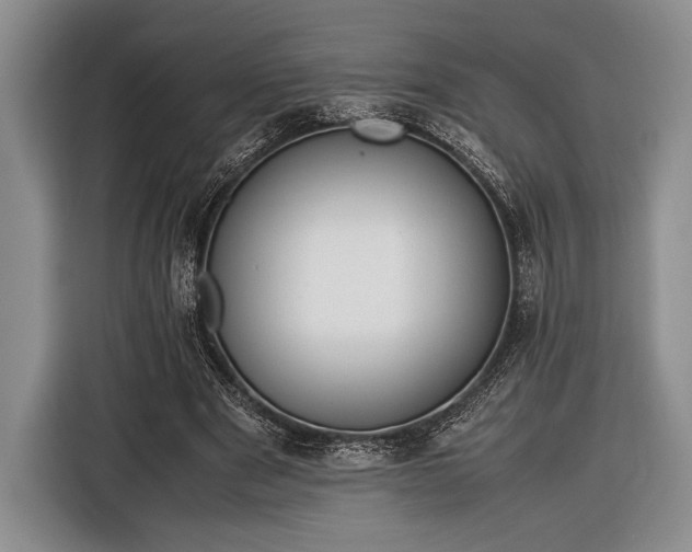 X0000116600489200912181149