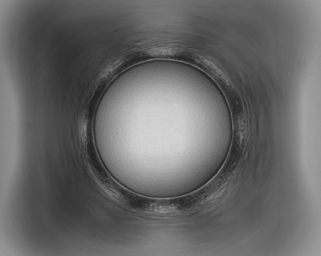 X0000116600491200912181149