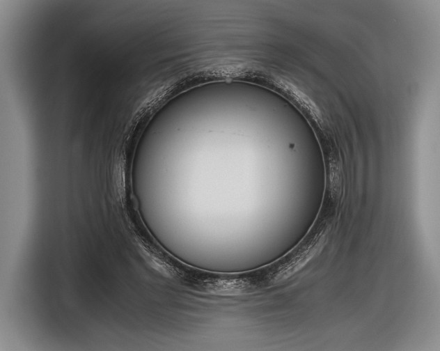 X0000116600493200912181149
