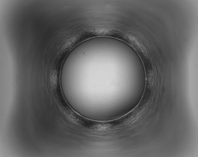 X0000116600495200912181149