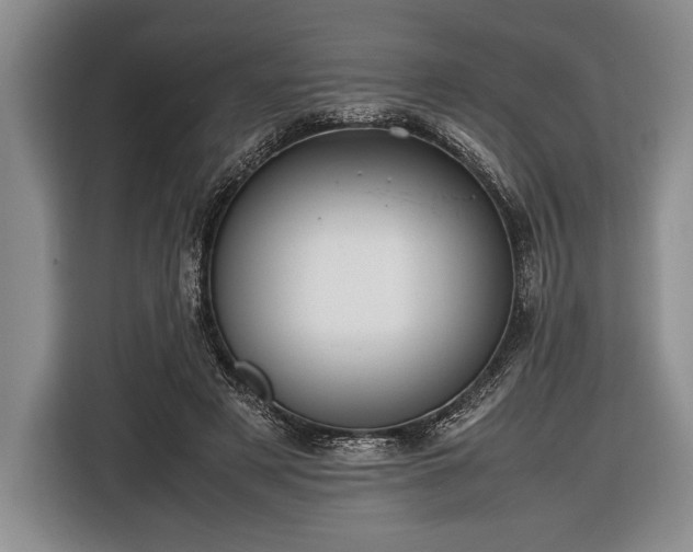 X0000116600497200912181149