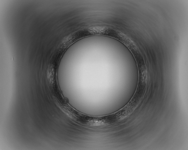 X0000116600498200912181149