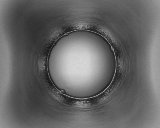X0000116600499200912181149