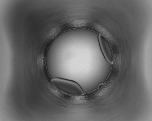 X0000116600501200912181149