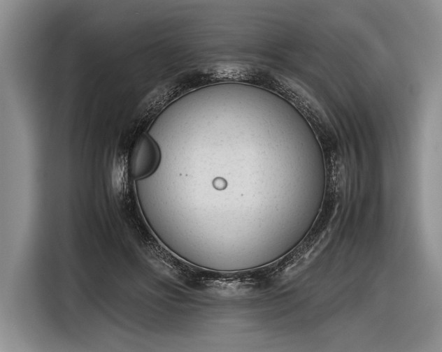 X0000116600502200912181149