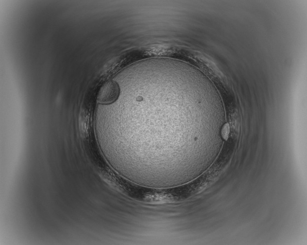 X0000116600503200912181149