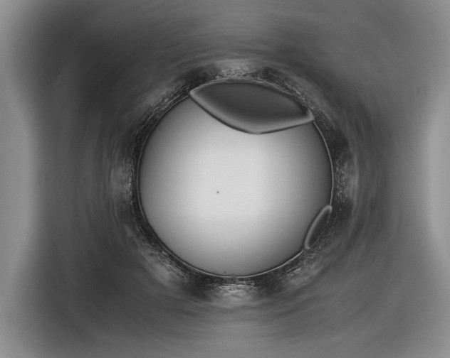 X0000116600505200912181149