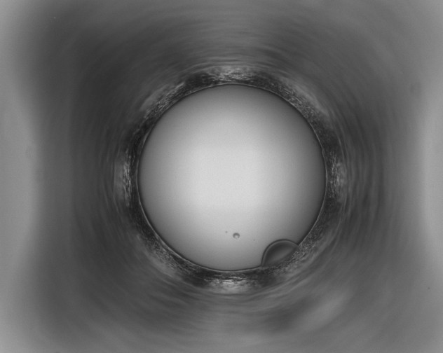 X0000116600506200912181149