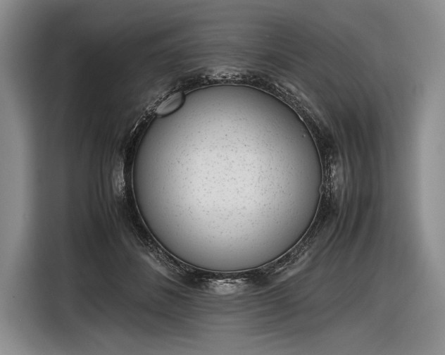 X0000116600508200912181149