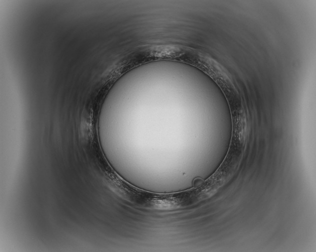 X0000116600510200912181149