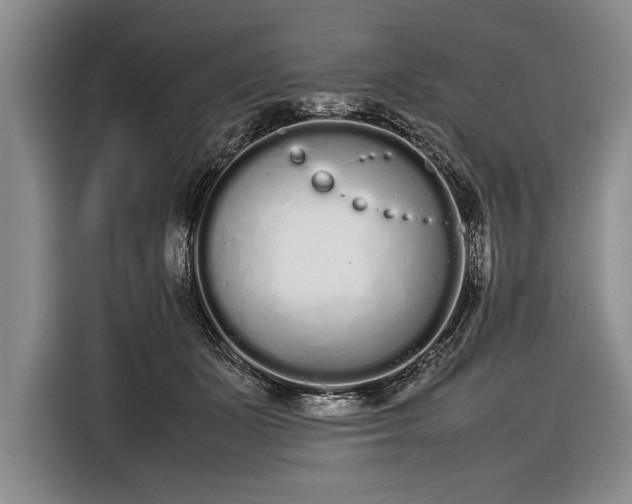 X0000116600511200912181149