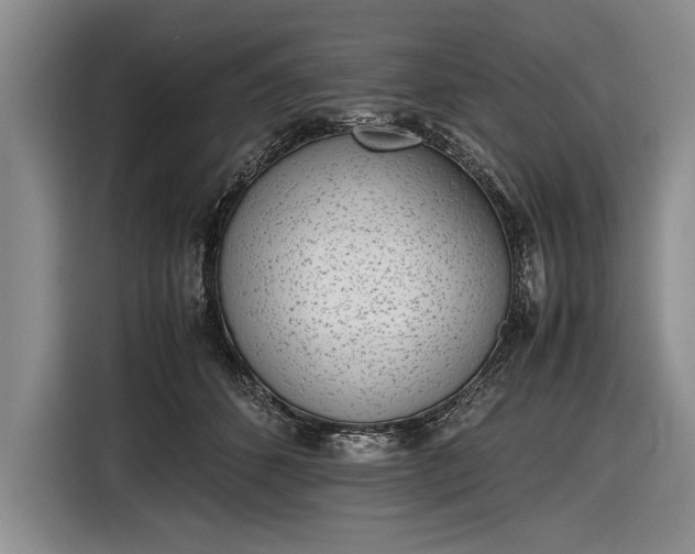 X0000116600512200912181149