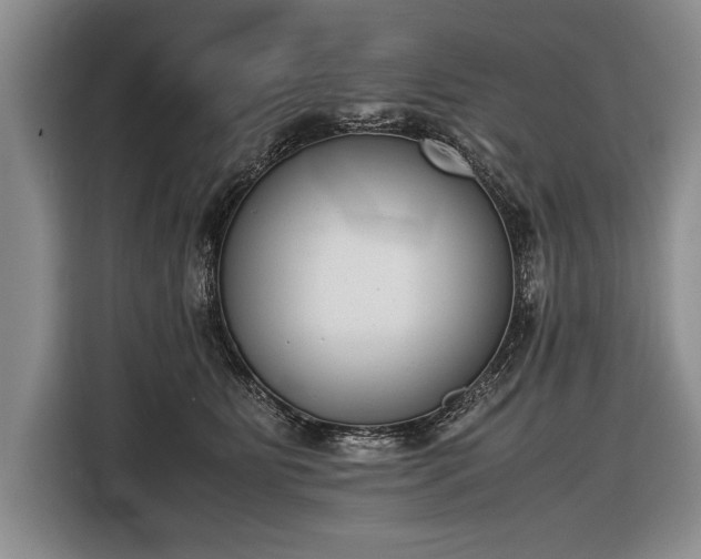 X0000116600515200912181149