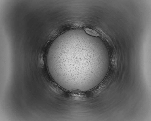 X0000116600516200912181149