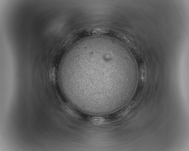 X0000116600519200912181148
