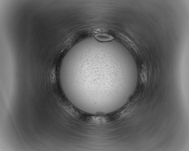 X0000116600520200912181148