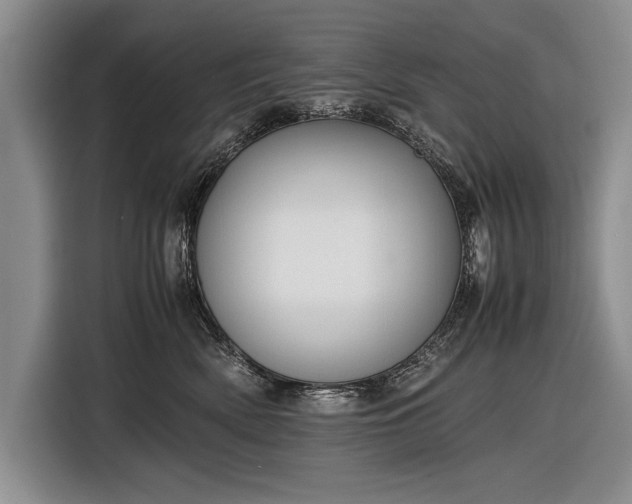 X0000116600522200912181148