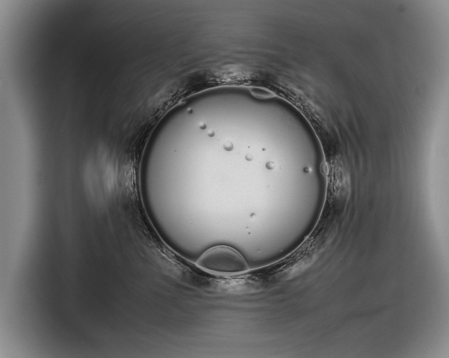 X0000116600523200912181148