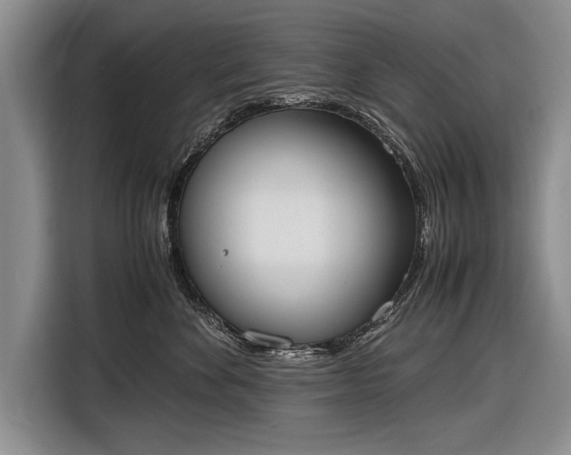 X0000116600524200912181148