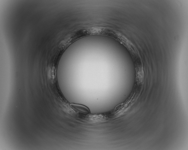 X0000116600525200912181148